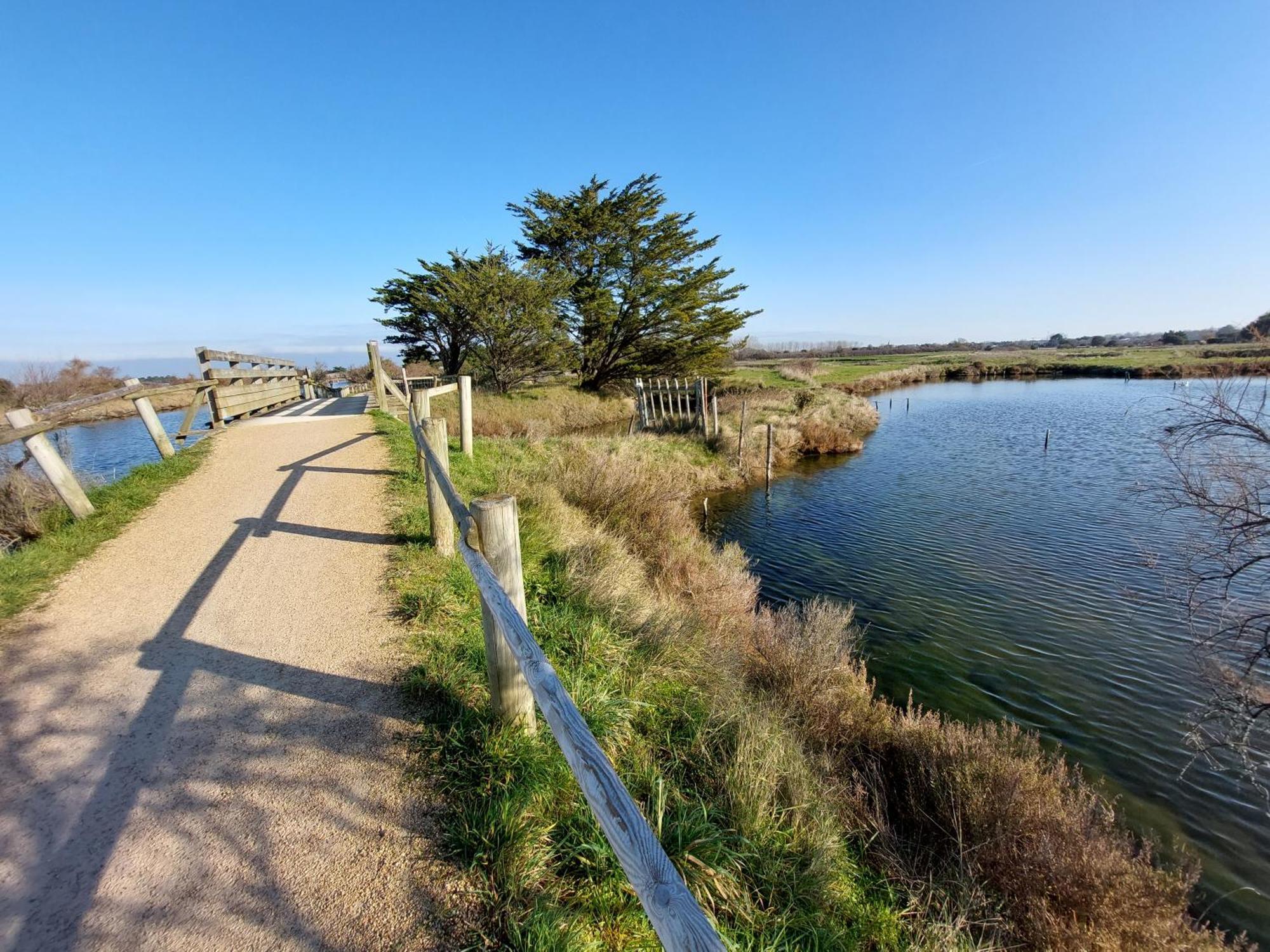 Studio La Salicorne Au Sables D'Olonne Les Sables-dʼOlonne Εξωτερικό φωτογραφία
