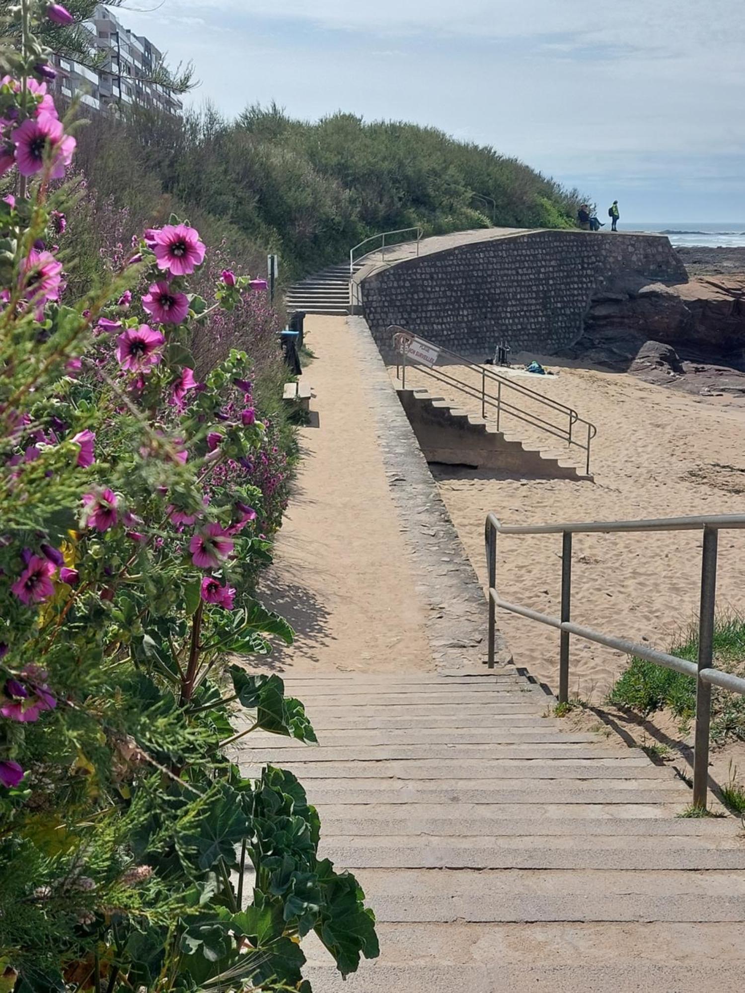 Studio La Salicorne Au Sables D'Olonne Les Sables-dʼOlonne Εξωτερικό φωτογραφία